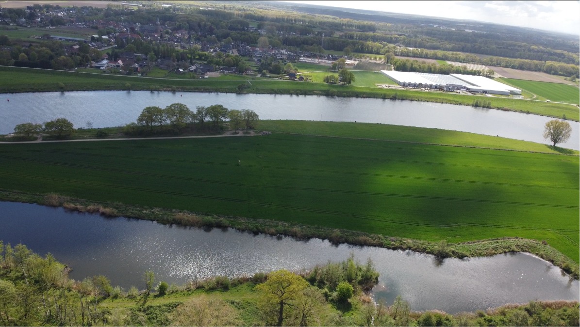 De Maas
